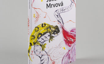Juliana Mrvová<br>new monograph<br>6 March, 2026
